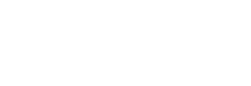 Flir logo / aonic