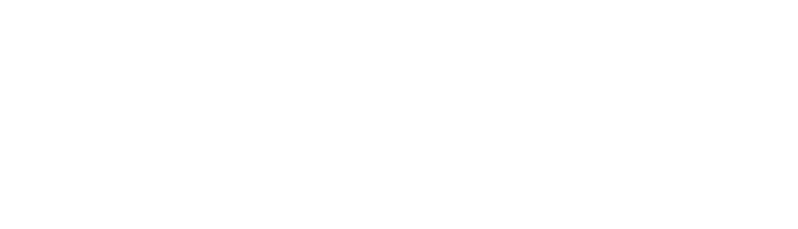 Aonic Logo white